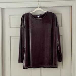 J. Jill Plush Velvet Long Sleeve Tunic Top – 2X – Soft SilveryTaupe